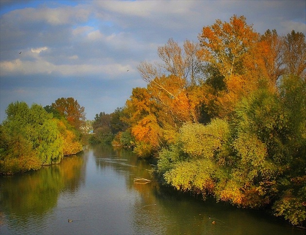 jeseň na Malom Dunaji