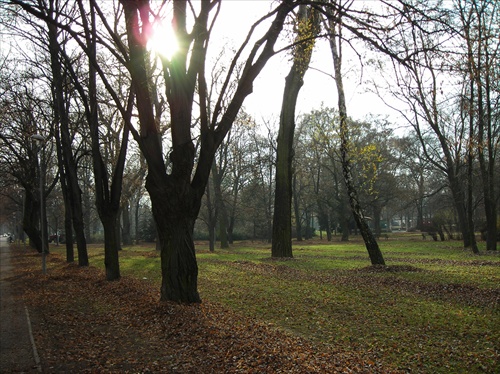 Nitriansky park