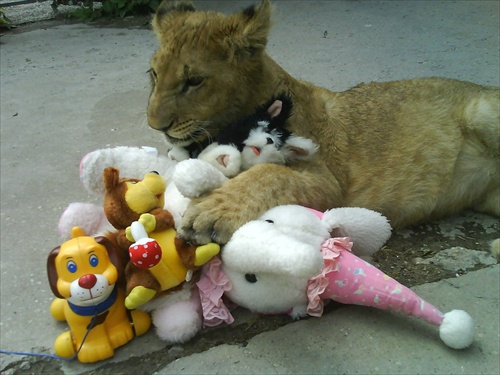 Lev Samko a jeho hracky
