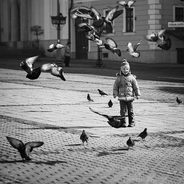 Lord of the Pigeons