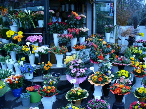 kvetinový trh vo Viedni