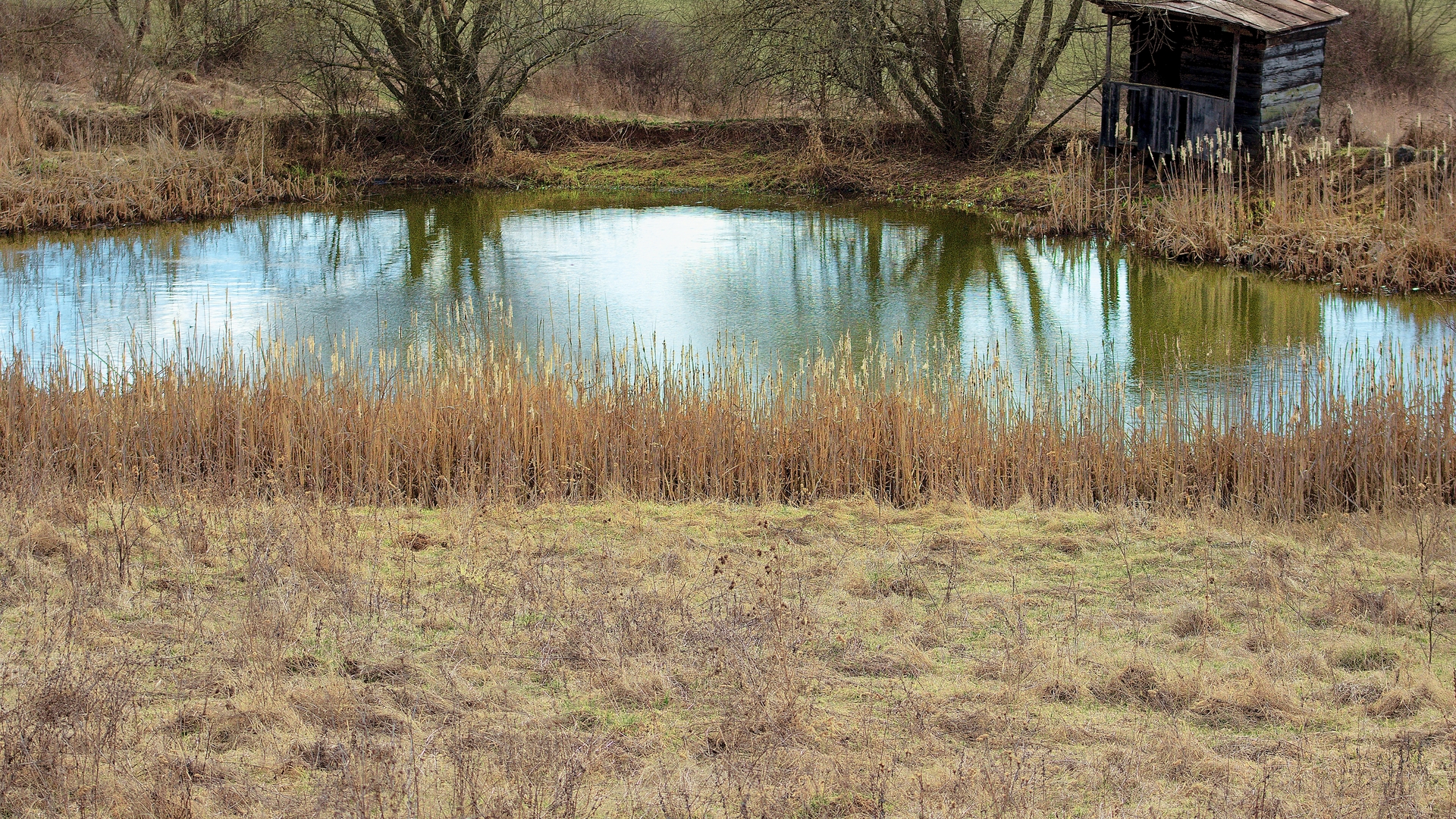Stratený rybník