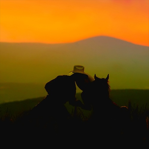 láska a kone pri západe