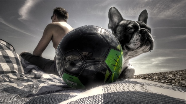 Soccer Or Die ... ;)