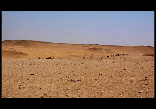 Arabská púšť, Egypt