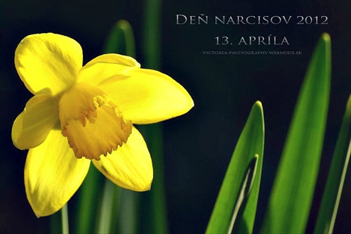 Deň Narcisov