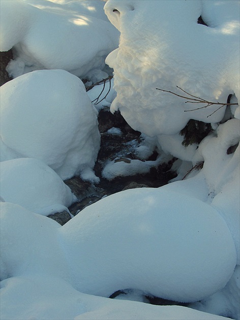 Potok v zime
