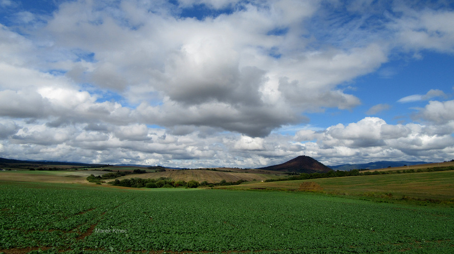 Šariš