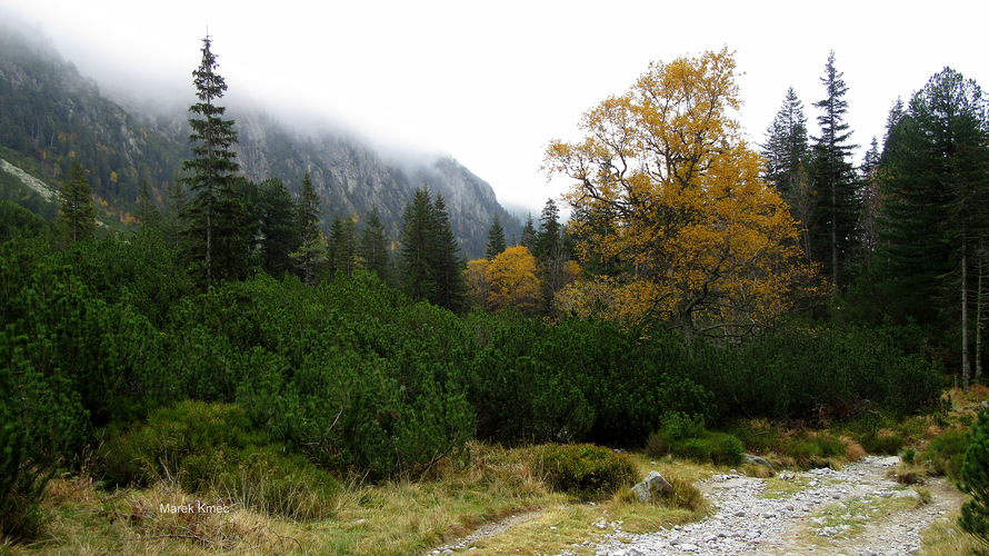 Tatry