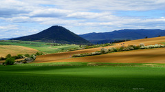 Šariš