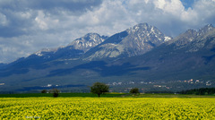Tatry