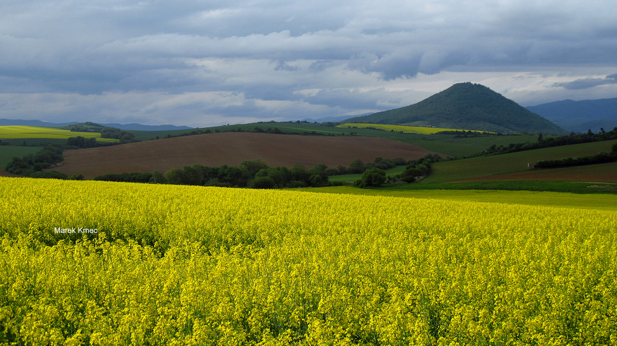 Šariš