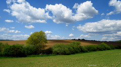 Pole