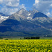Tatry