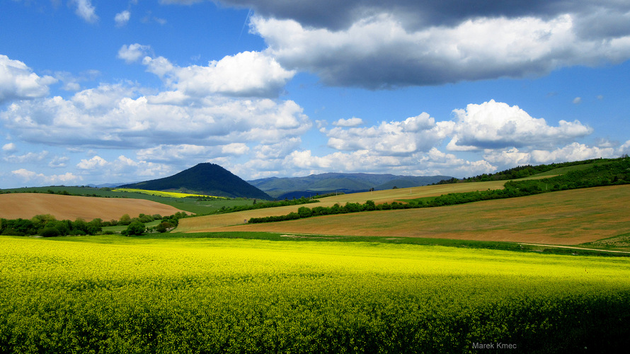 Šariš