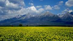 Tatry