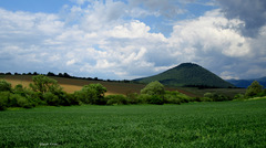 Šariš