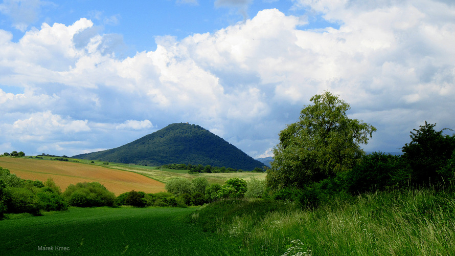 Šariš
