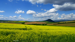 Šariš