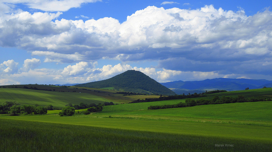 Šarišský hradný vrch