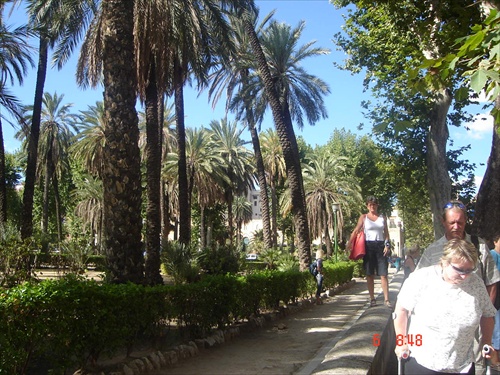 palmový park v Palerme