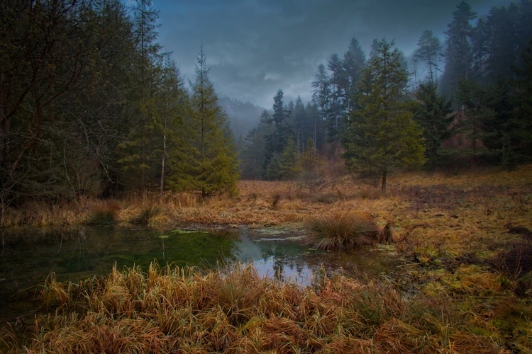 Divoká príroda vo Veľkej Fatre