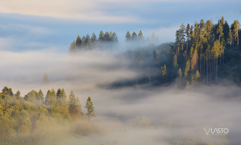 ... obklopené hmlou ...