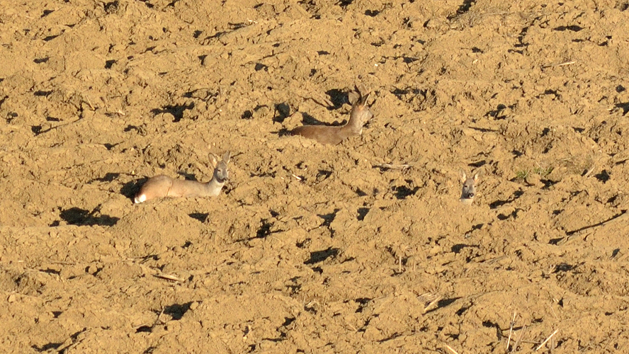 ... v maskovaní ... 