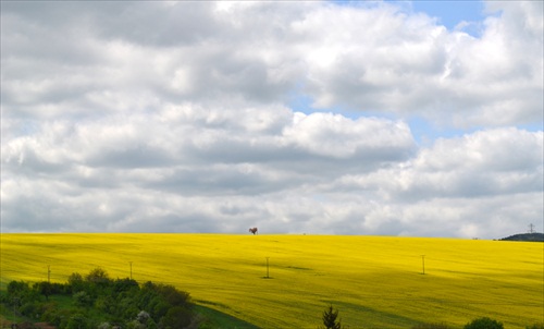 osamelý