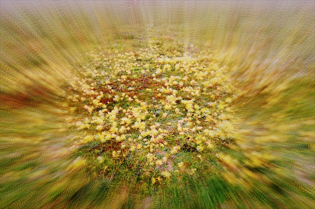 farebný sen-raj na zemi