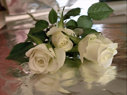 biele ruže...