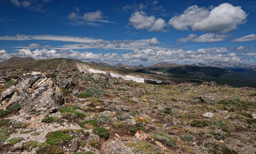 Fellfields tundra of Rocky mountains, Colorado