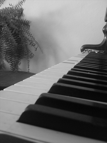 klavír....