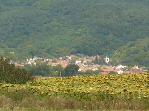 Panoráma dediny Doľany
