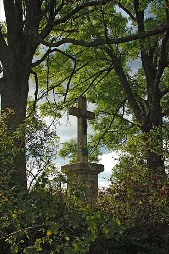 Kríž medzi stromami