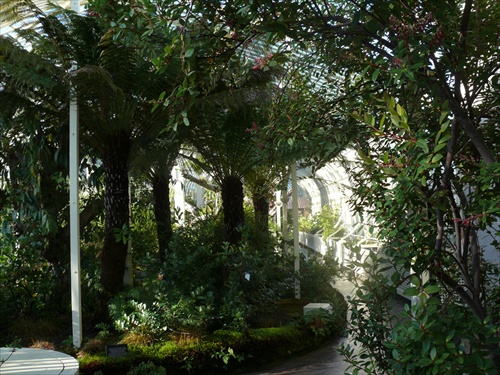Botanická záhrada, Dublin