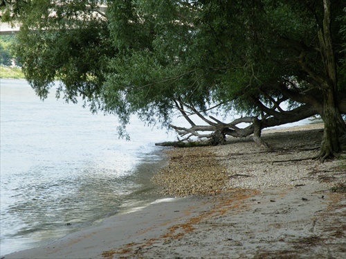dunajská oblázkovo-piesčitá pláž