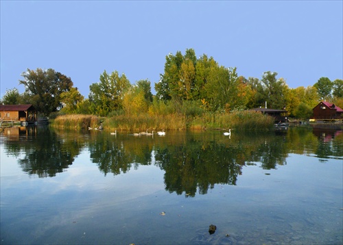 labutia previerka rajónu