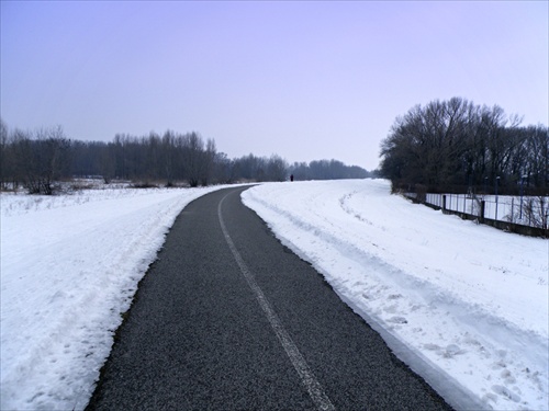 dunajská hrádza v zime