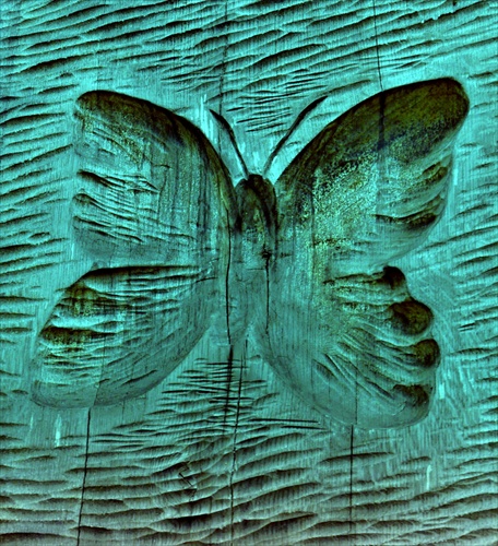 motýle Železnej studničky