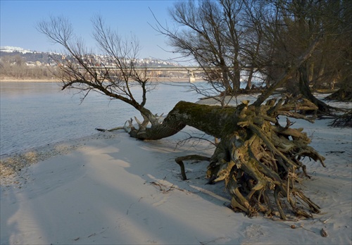 natur pláž 2