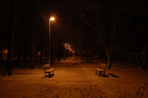 zima v parku 2
