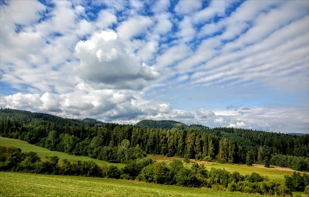 Kvašné lúky