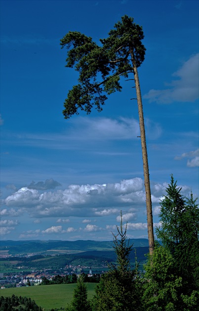 z túlačiek