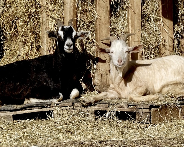 kontrasty sa priťahujú