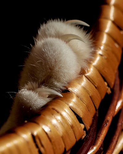 radšej ich vidím zatiahnuté…