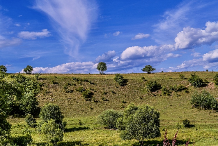 horizont