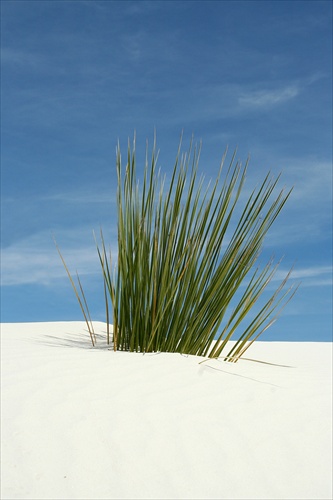 White Sands