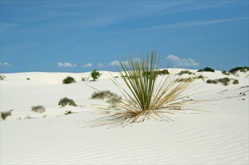 White Sands