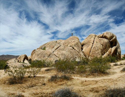 Joshua Tree natioanl Park